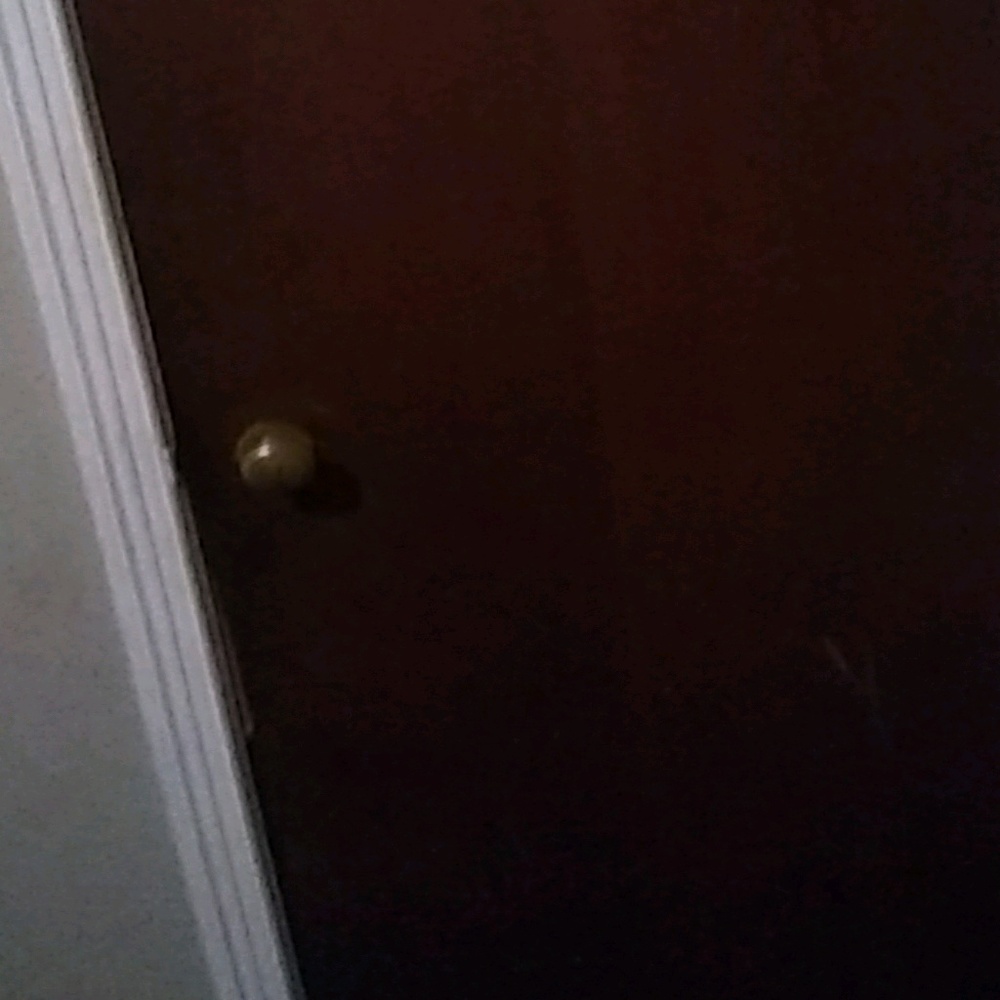 Meet your Posher, Margaret